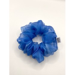SCR-ORG-blue