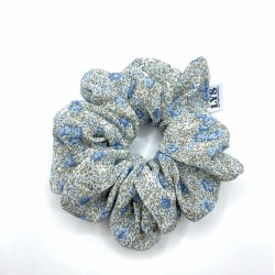 SCR-MSL-blue