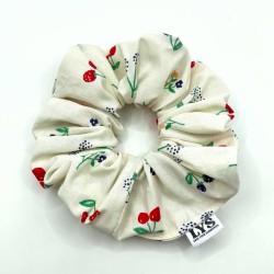 SCR-COT-Fruits