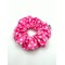 SCR-COT-pinkdot