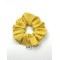 SCR-COT-yellow.g